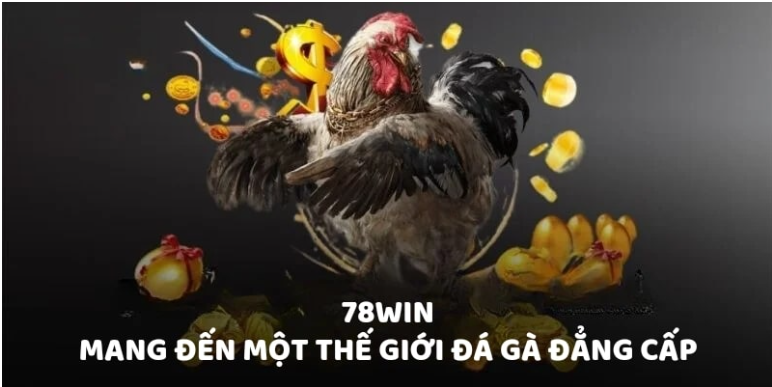 Đá gà 78win